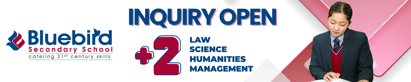 Inquiry Open in Plus Two Programs at Bluebird SS/College