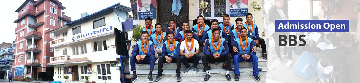 Admission Open at Bluebird College for BBS Program