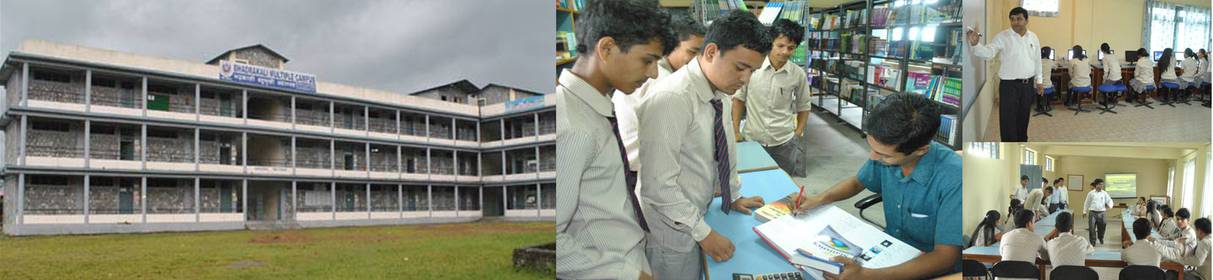 Bhadrakali Multiple Campus