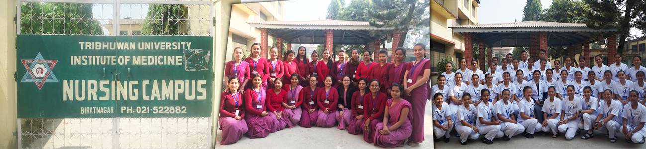 Biratnagar Nursing Campus Biratnagar Morang Edusanjal