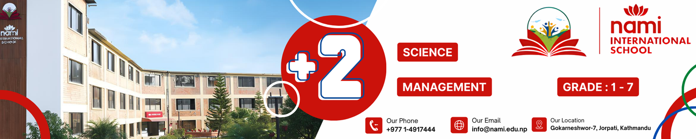 NAMI International School