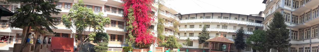 Siddhartha Vanasthali Institute
