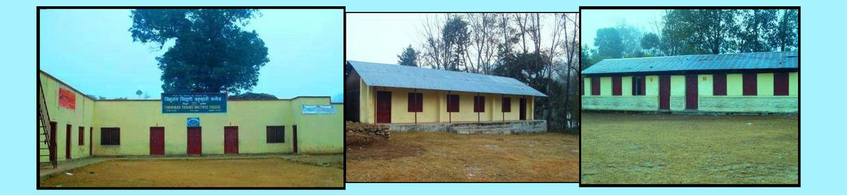 Tribhuvan Trishuli Multiple College
