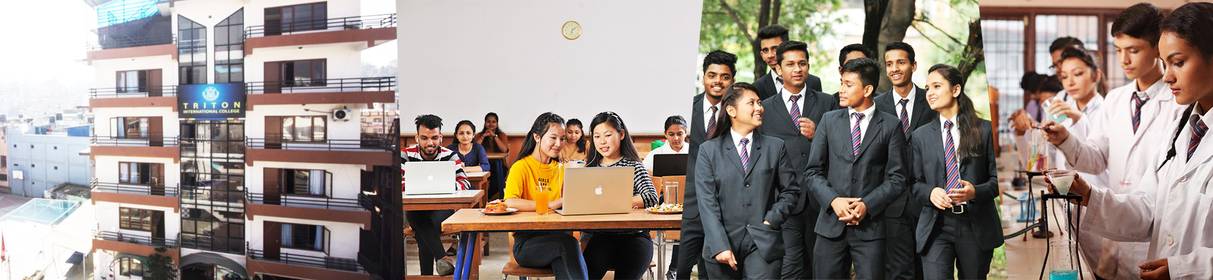 Triton International College