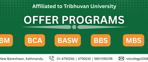 V.S. International College