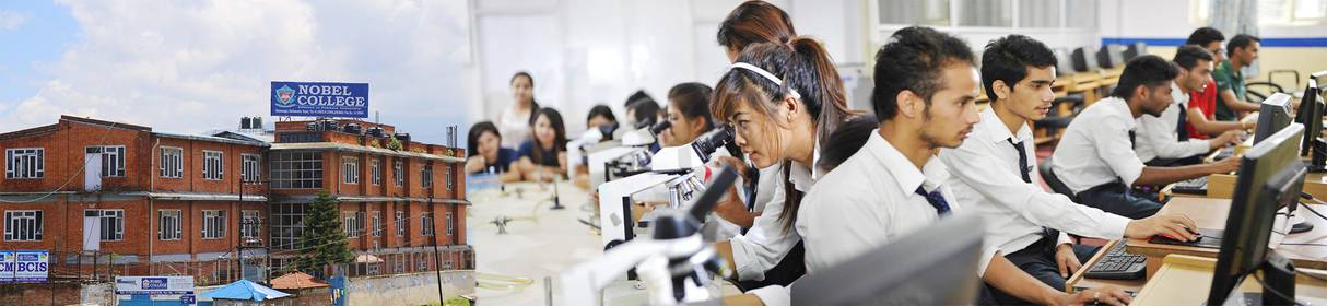 Nobel College
