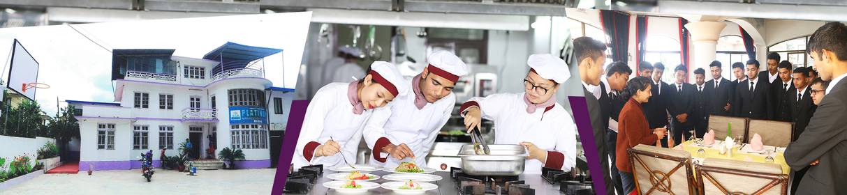 Platinum Management College