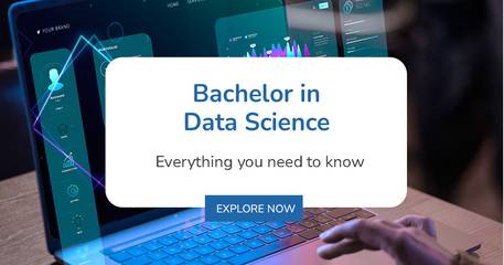 Bachelor in Data Science