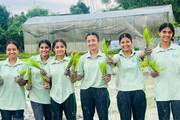 Paddy Plantation Practical: 'Hands-on Agriculture' at Shree Jagannath Dedraj Janata Secondary School