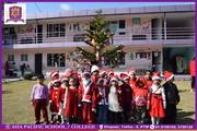 Christmas Celebration
