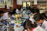 Conduction of lab practicals on earthworm anatomy.