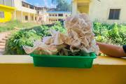Harvesting Success: Student-Cultivated Mushrooms at Shree Sarbajanik Model Secondary School