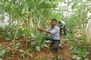 Plant Science students engaged in practical agricultural training at the school farm.