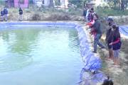 Fish Farm at Janapriya School