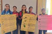 Grade 10 Students Present Project Work on Herbal Plants and Greenhouses.