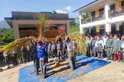 Students participating in the traditional threshing and harvesting process as part of the school's practical session