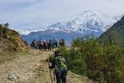 Students participating in a trekking expedition along a mountain trail during an outdoor excursion.