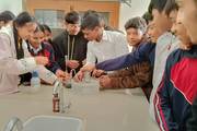 Grade 9 and 10 Students Engaged in Practical Science and Research