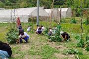 Cultivating Knowledge: Galkot Secondary School Students Learn Sustainable Farming Techniques