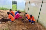Plant Science students participating in a hands-on practical learning session.