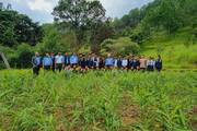 Students and teachers participating in a plantation program at the school.