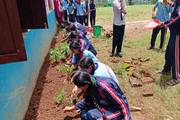 Students participating in a plantation program.