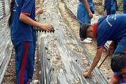 Students Engaging in the Plantation Program at Green House