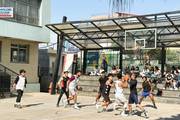 Basketball Competition in Sports Meet