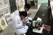 Students Conducting Experiments and Microscopic Analysis in the Science Lab at Ram Shah Secondary School.