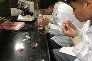 Students Conducting Experiments and Microscopic Analysis in the Science Lab at Ram Shah Secondary School.