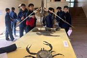 Students are observing various artistic and historical exhibits during an educational museum excursion.