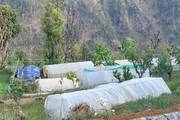 Tunnel greenhouses prepared by Plant Science students for practical agricultural training.