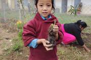 A student participating in a plantation program on World Environment Day.