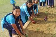 Nurturing a Greener Future: Celebrating World Environment Day through a School Cleaning Drive