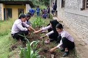 Students participating in a campus cleaning and gardening program.