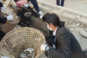 Grade 11 and 12 students of Gyanodaya School participated in the cleaning program of Butwal Sub-metropolitan.