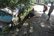 Cleanliness program in the school