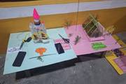 Showcasing Innovation: Science Projects by Students at the Exhibition.