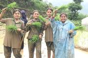 Paddy Planting Fun: Students in Action at Shree Sarbajanik Model Secondary School
