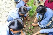 Green Thumbs in Action: Students Engaging in Plant Gardening at Janak Model Secondary School