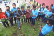 Green Initiative: Students Participate in a Tree Planting Program.