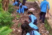 Green Initiative: Students Participate in a Tree Planting Program.