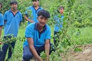 Students participating in a tree plantation program.