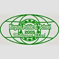 Birgunj Public Secondary School