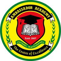Ambassador Academy