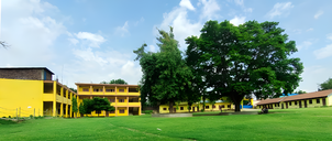 Pragati Model Secondary School