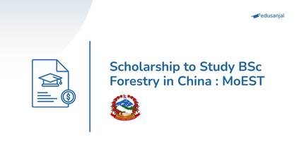 Scholarship to Study BSc Forestry in China : MoEST